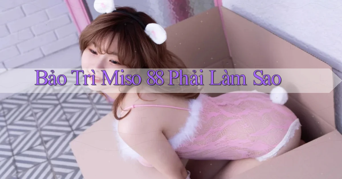 bảo trì miso 88 phải làm sao