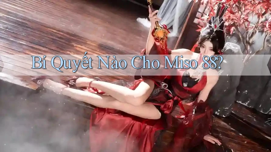Bí Quyết Nào Cho Miso 88?
