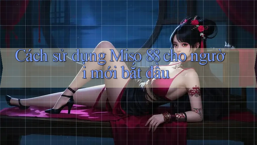 Cách sử dụng Miso 88 cho người mới bắt đầu