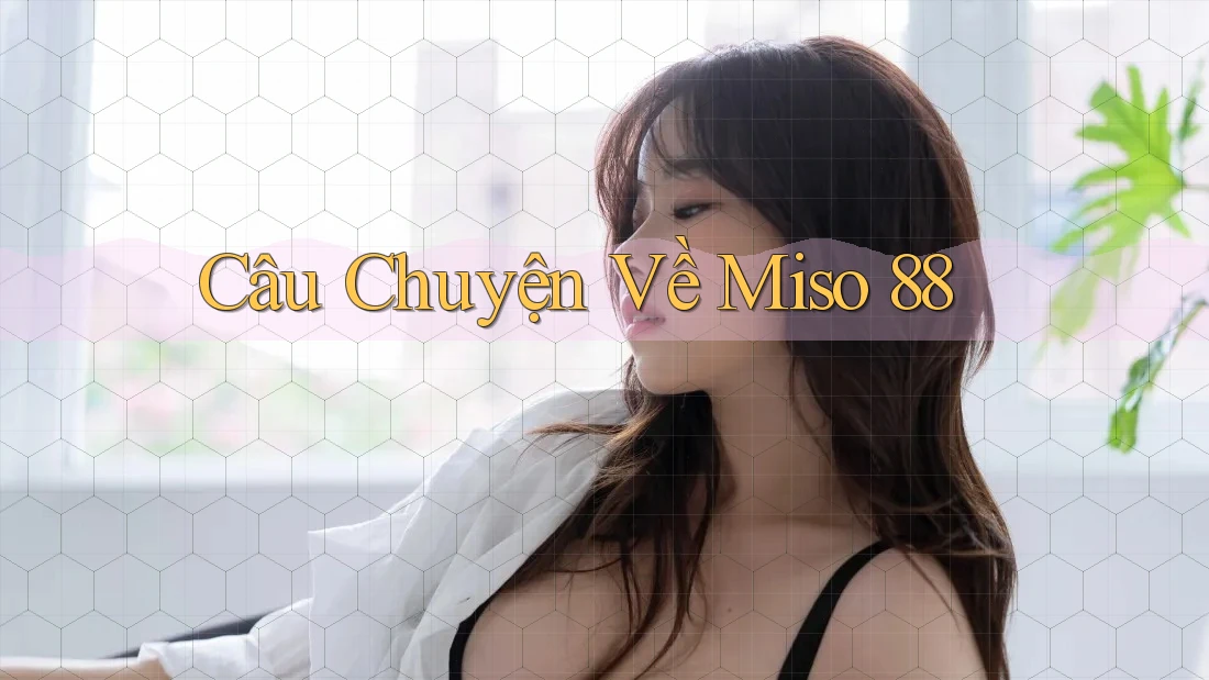 Câu Chuyện Về Miso 88