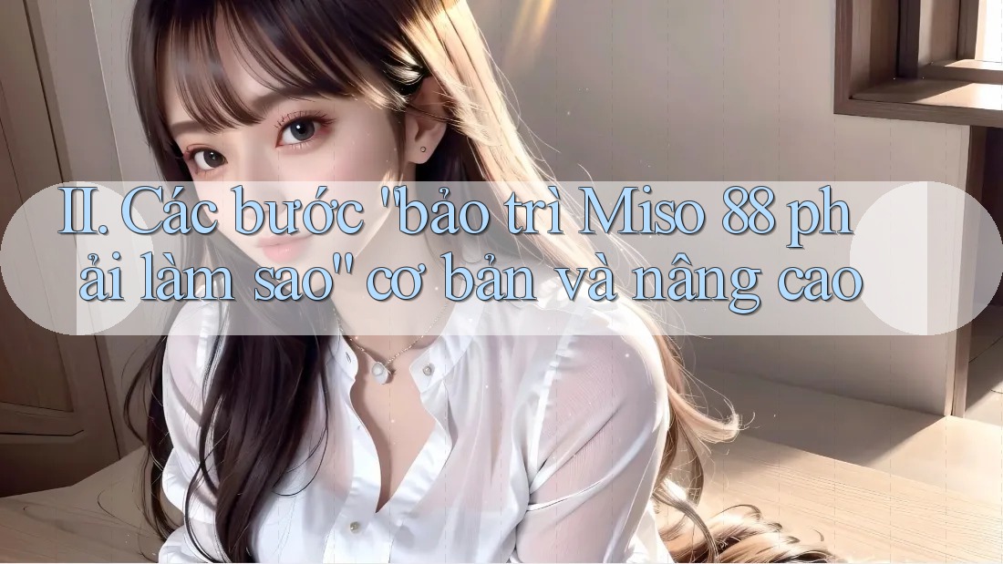 II. Các bước “bảo trì Miso 88 phải làm sao” cơ bản và nâng cao