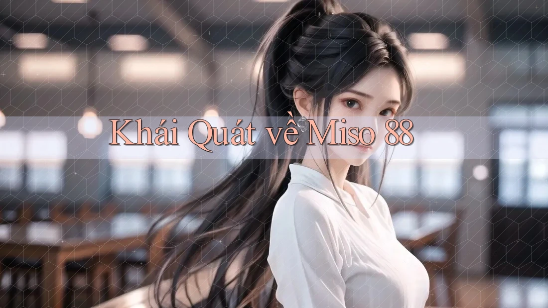 Khái Quát về Miso 88