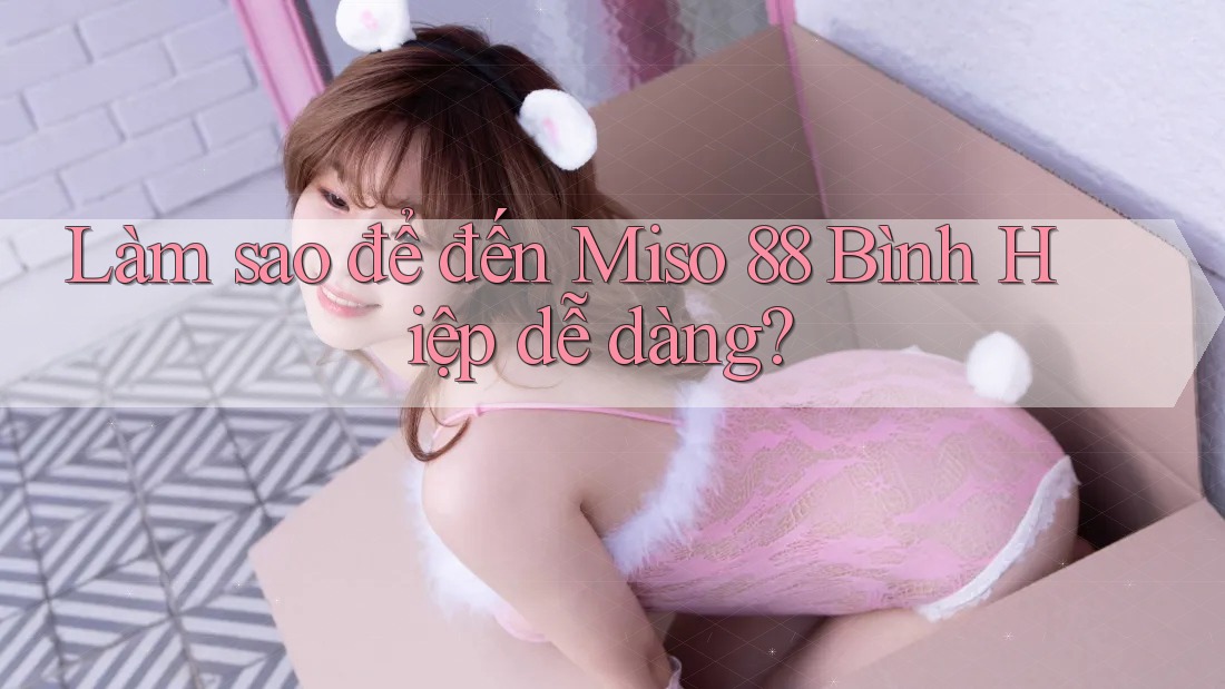 Làm sao để đến Miso 88 Bình Hiệp dễ dàng?