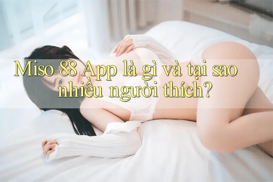Miso 88 App là gì và tại sao nhiều người thích?