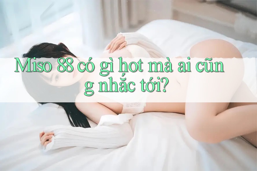 Miso 88 có gì hot mà ai cũng nhắc tới?
