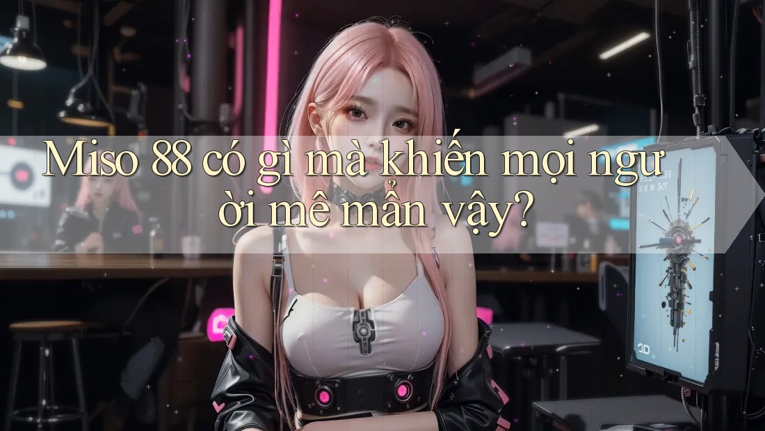 Miso 88 có gì mà khiến mọi người mê mẩn vậy?