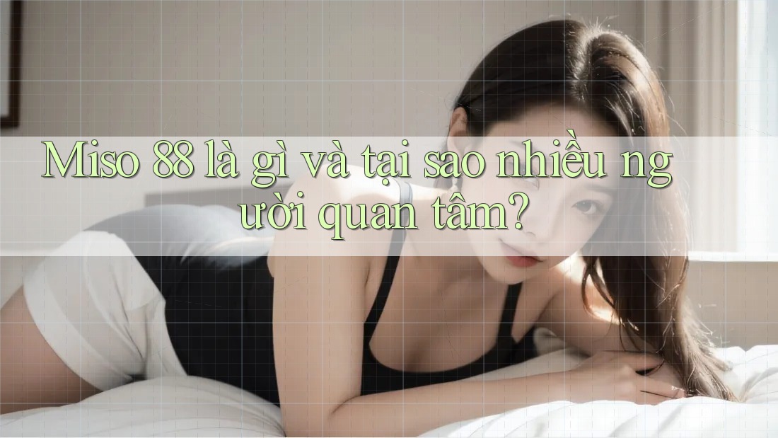 Miso 88 là gì và tại sao nhiều người quan tâm?