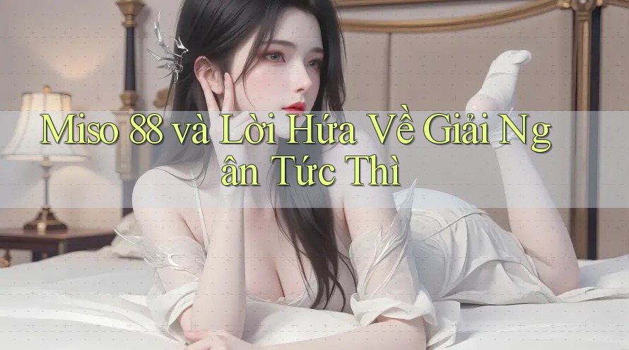 Miso 88 và Lời Hứa Về Giải Ngân Tức Thì