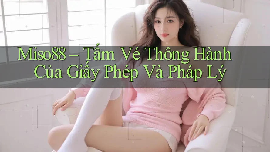 Miso88 – Tấm Vé Thông Hành Của Giấy Phép Và Pháp Lý