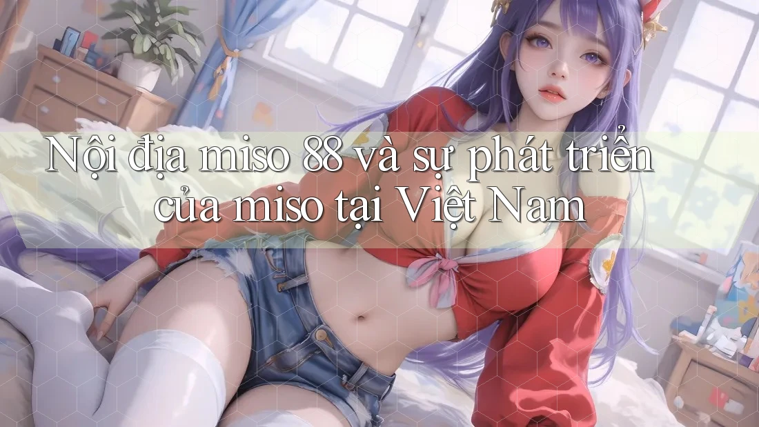 Nội địa miso 88 và sự phát triển của miso tại Việt Nam