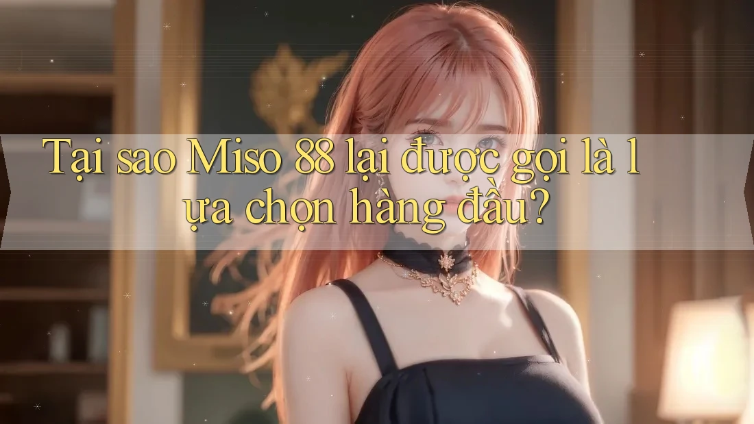 Tại sao Miso 88 lại được gọi là lựa chọn hàng đầu?