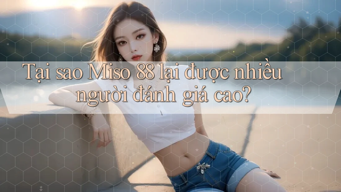 Tại sao Miso 88 lại được nhiều người đánh giá cao?