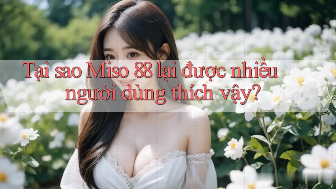Tại sao Miso 88 lại được nhiều người dùng thích vậy?