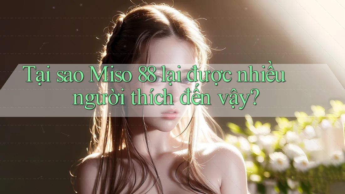 Tại sao Miso 88 lại được nhiều người thích đến vậy?