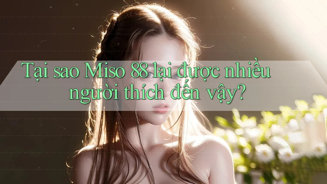 Tại sao Miso 88 lại được nhiều người thích đến vậy?