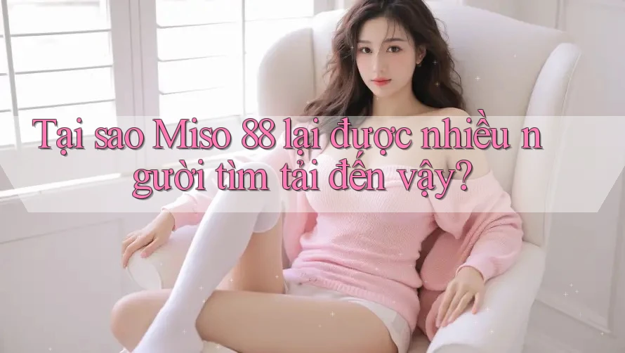 Tại sao Miso 88 lại được nhiều người tìm tải đến vậy?