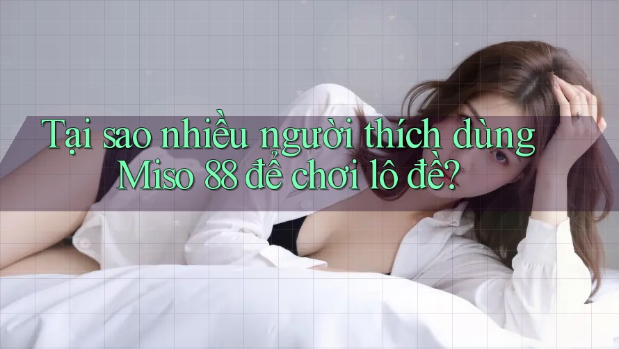 Tại sao nhiều người thích dùng Miso 88 để chơi lô đề?