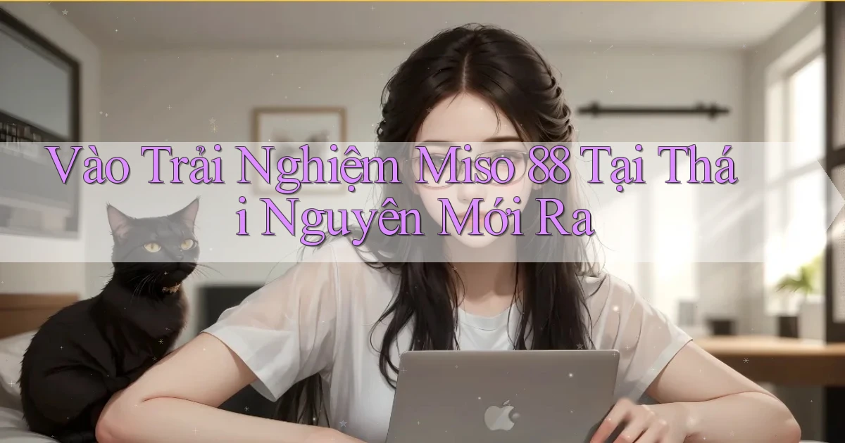 vào trải nghiệm miso 88 tại Thái Nguyên mới ra