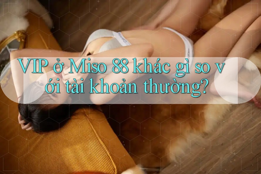VIP ở Miso 88 khác gì so với tài khoản thường?